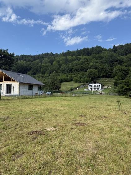 Teren de 3500 mp, în Cuejdiu