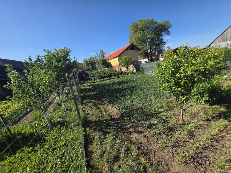 Casă cu 2 camere în Crizbav
