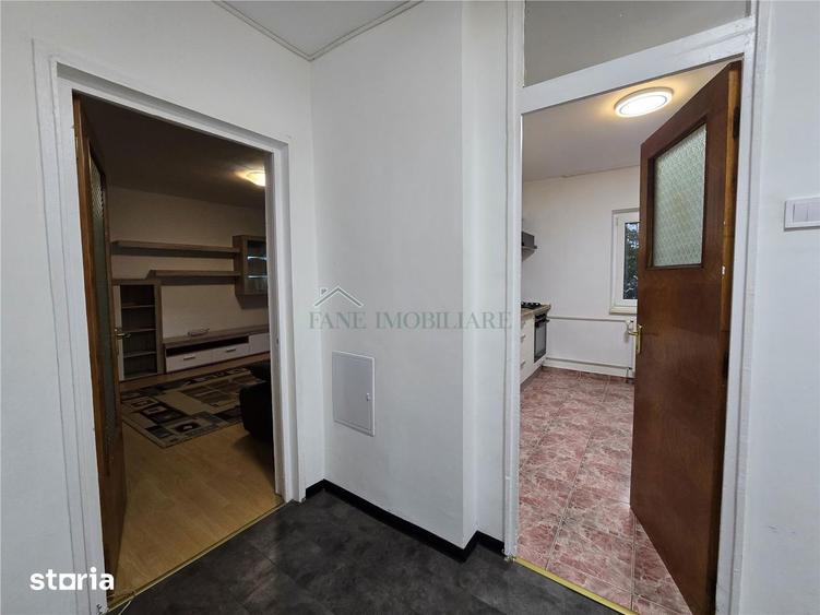 Apartament cu 2 camere, mobilat în Tei