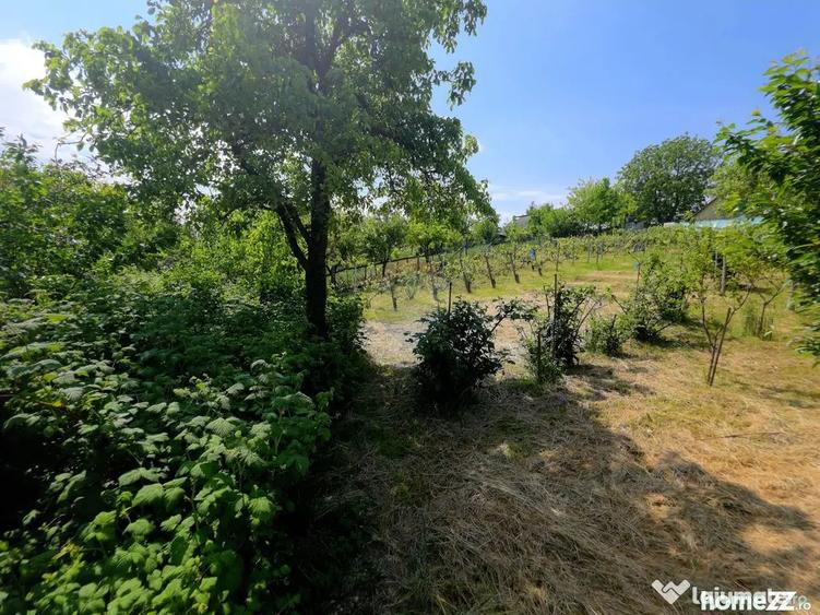 Teren de 4516 mp, în Doina
