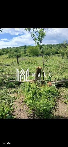 Teren Salatrucel | 8300 m | 12 euro/ metru | Intravilan si extravilan - 4