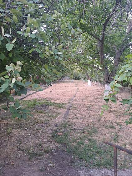 Casă cu Teren 1000 Mp în Central