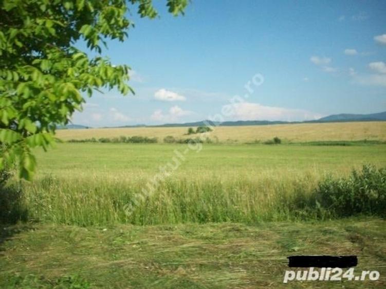 Teren de 25 mp, în Central