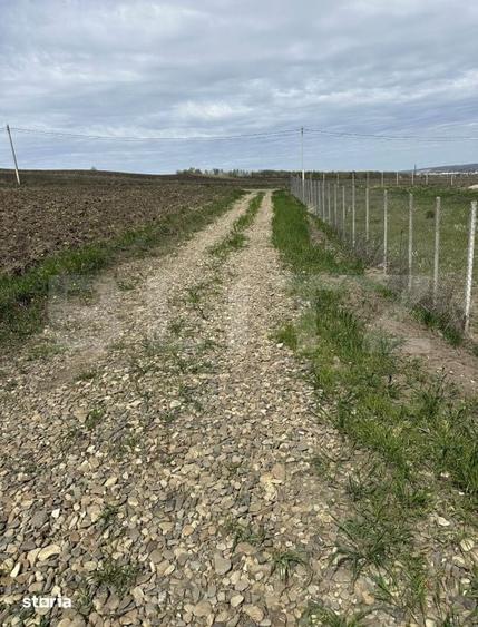 Teren de vanzare intravilan, 10 ari, Bosanci - 3