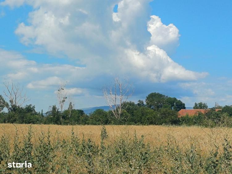 Teren de 5000 mp, în Industrială
