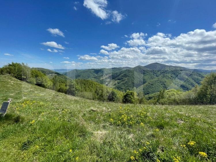 Teren agricol extravilan de 6000 mp, în Valea Ierii