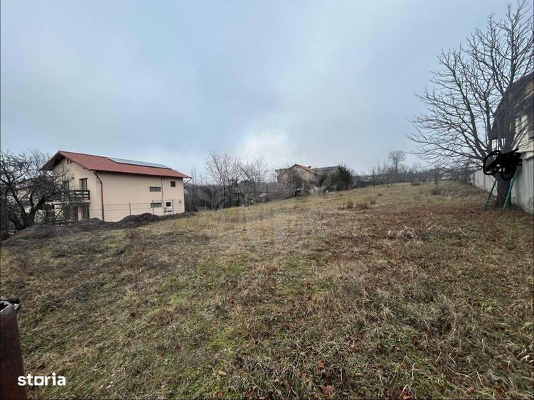 Teren de 3009 mp, în Păulești
