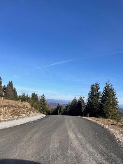 Teren de 3617 mp, în Rogojel