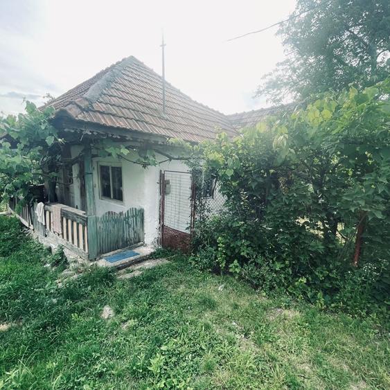 Casă cu 2 camere în Plai