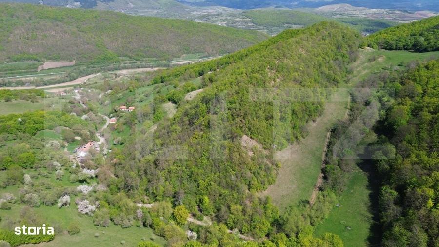 Spațiu comercial, în Pădure