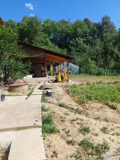 Teren de 1300 mp, în Dobriceni