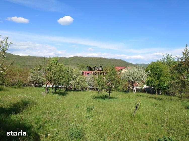 Casă cu 9 camere cu Teren 2339 Mp în Central