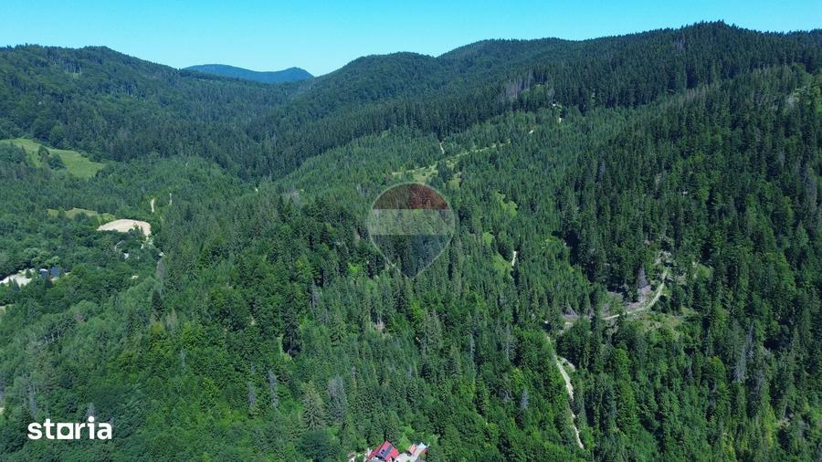 Teren de 120000 mp, în Sucevița