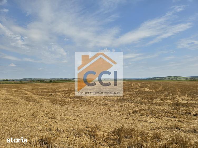 Teren de 50000 mp, în Letea Veche
