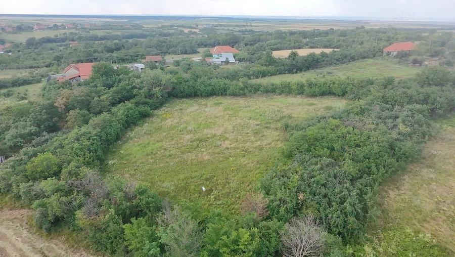 Teren de 1000 mp, în Sacoșu Mare