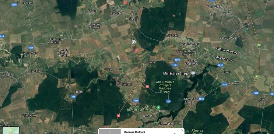 Teren Construcții intravilan de 4906 mp, în Ciolpani