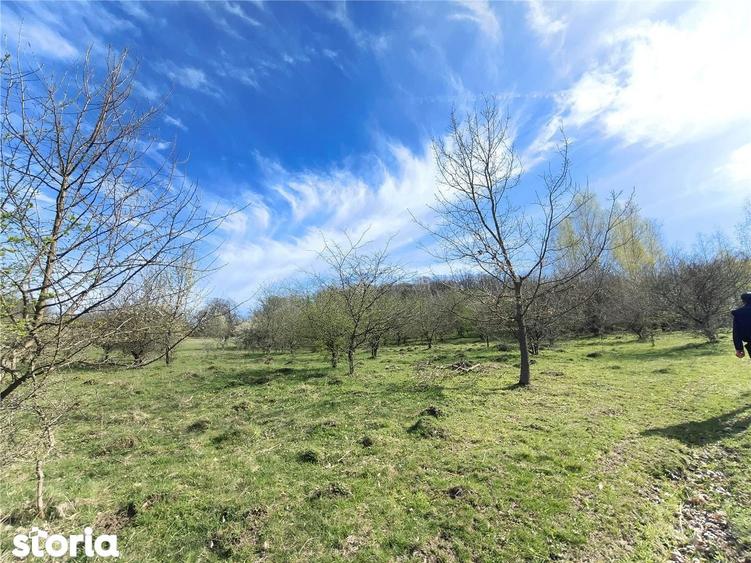 Teren de 4000 mp, în Central