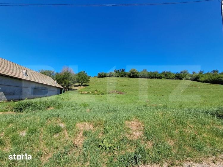 Teren de 9600 mp, în Criș