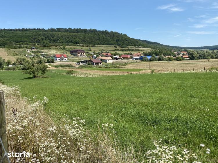 Teren de 559 mp, în Crăciunești