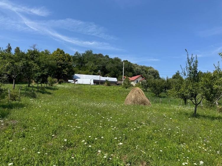 Spațiu comercial, în Brătești