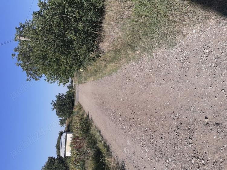 Teren de 4000 mp, în Căldărușeanca