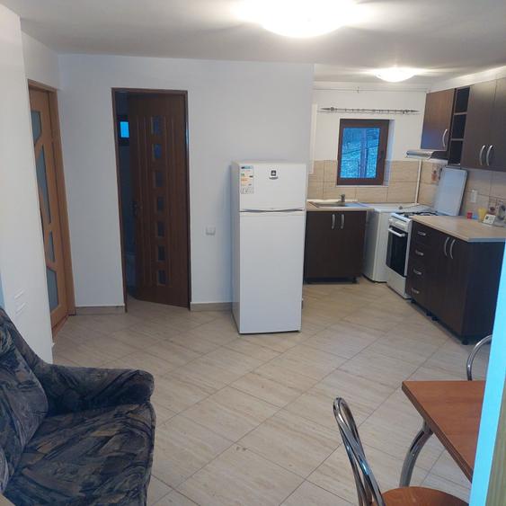 Casă cu 2 camere cu Teren 1200 Mp în Pietrișu