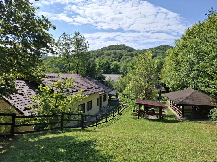 Casă cu 6 camere cu Teren 2267 Mp în Iedera de Sus