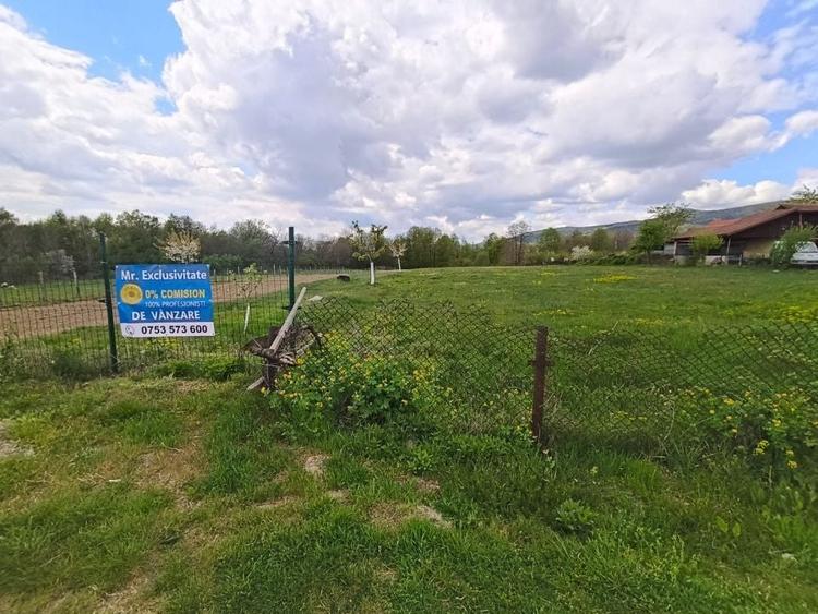 Teren Construcții intravilan de 19209 mp, în Crasna
