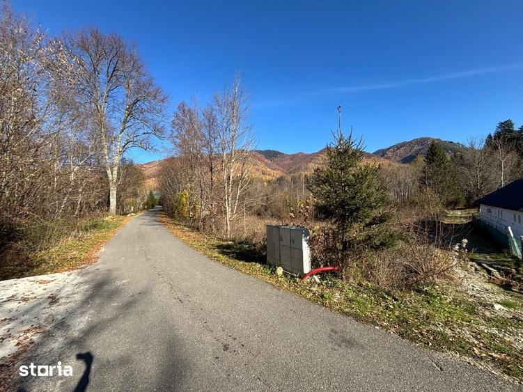 Teren de 3600 mp, în Zăvoi