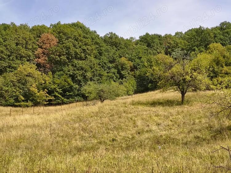 Teren de 2050 mp, în Livadea