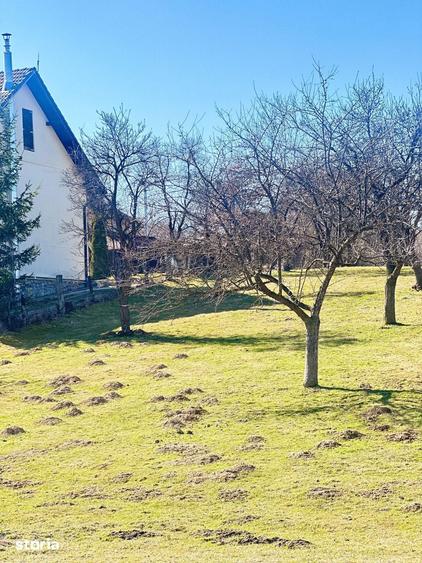 TEREN SOHODOL - UN LOC UNDE NATURA I?I DEVINE PARTENER DE INVESTI?IE - 6