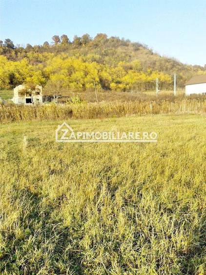 Teren Construcții intravilan de 780 mp, în Livezeni