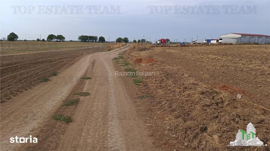 Oferim spre vanzare 6 loturi de teren extravilan (agricol) in Petrachi