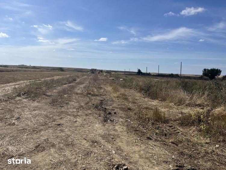 Teren de 470 mp, în Bradu
