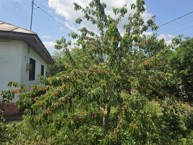 Casă individuală cu 3 camere cu Teren 2100 Mp în Dor Mărunt