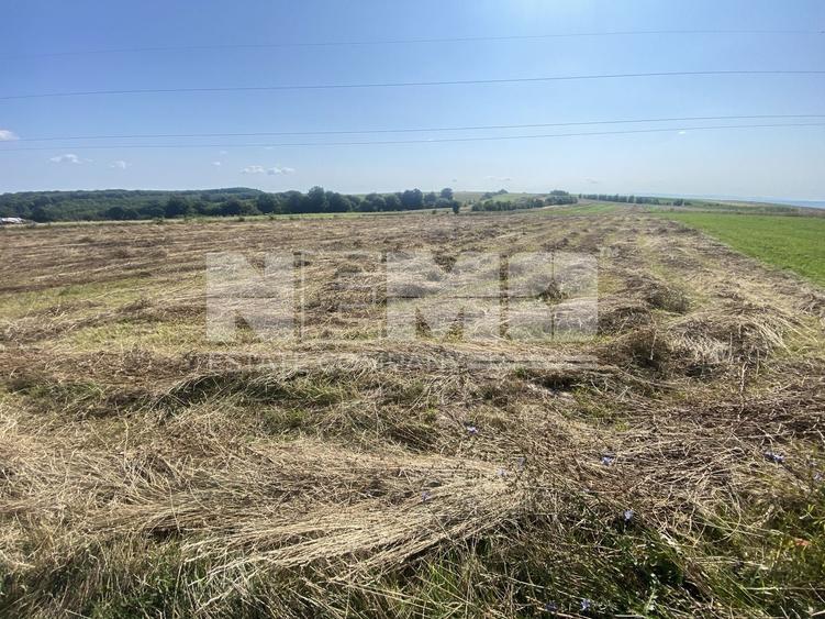 Teren agricol extravilan de 3401 mp, în Burdujeni