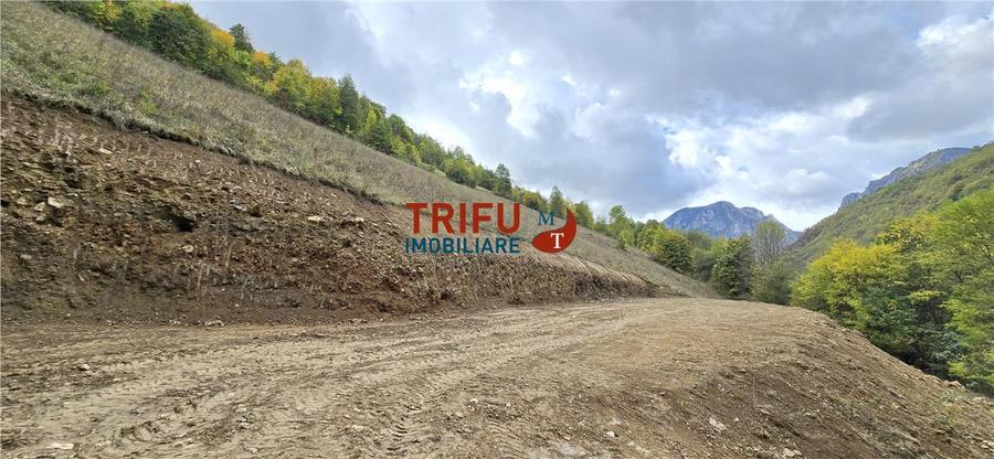 Teren intravilan de 15000 mp, în Râmeț