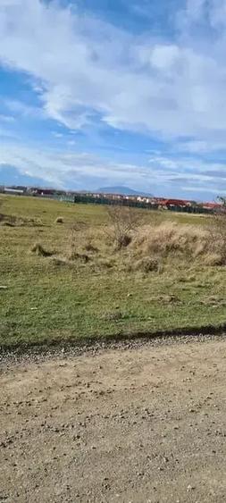 Teren 400 mp Sanpetru Intravilan - 2