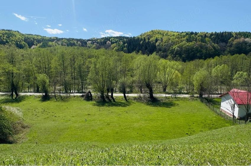 Teren de 1801 mp, în Valea Borului