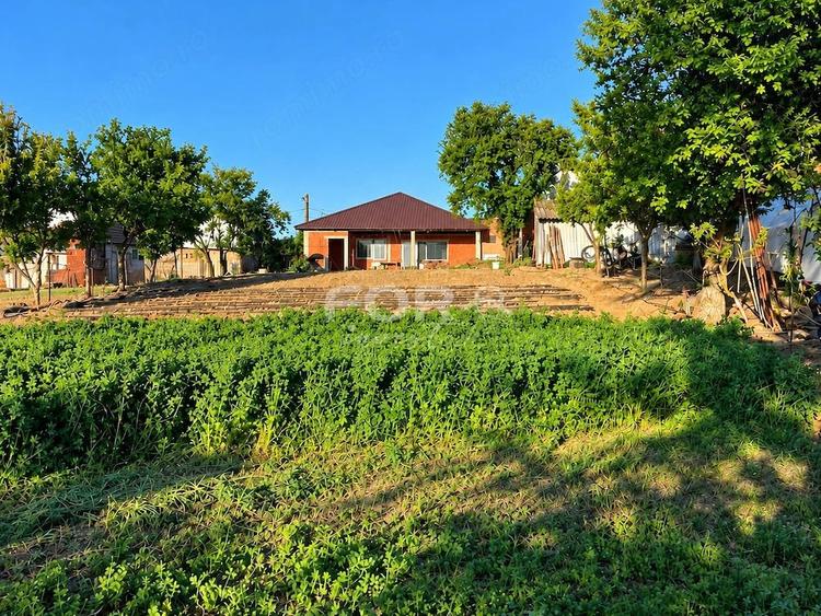Casă cu 4 camere cu Teren 1290 Mp în Tulca