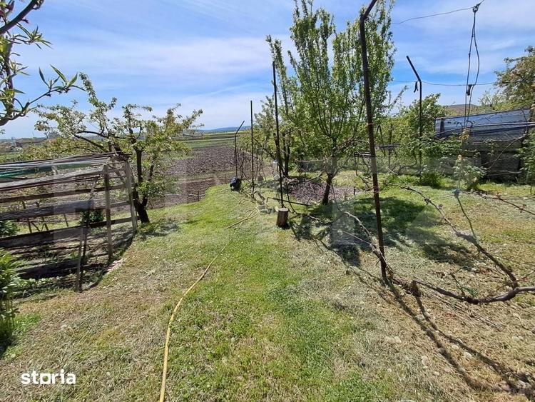 Casă cu 3 camere cu Teren 2900 Mp în Sâncraiu de Mureș