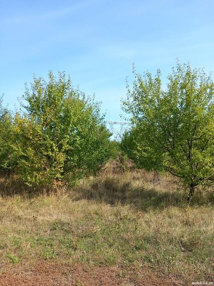 Teren de 3600 mp, în Rădășeni