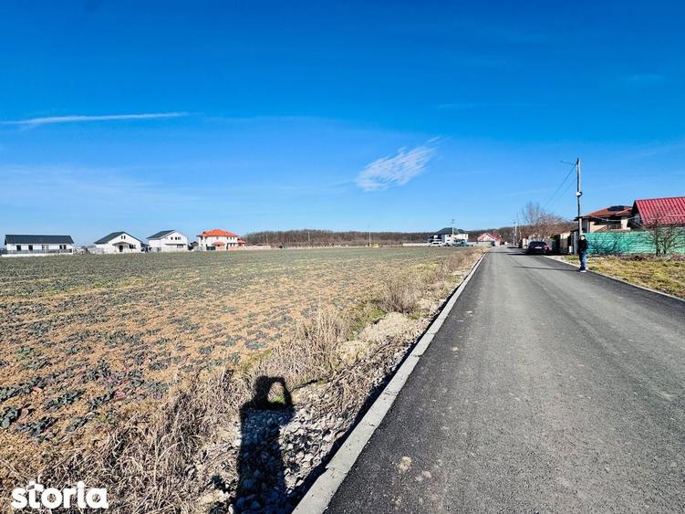 Teren de 1600 mp, în Snagov