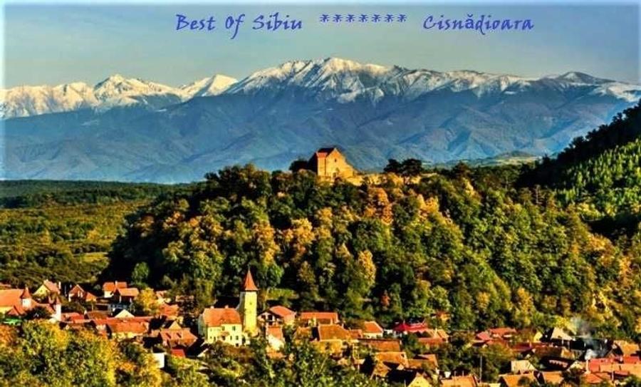 Spațiu comercial, în Cisnădioara