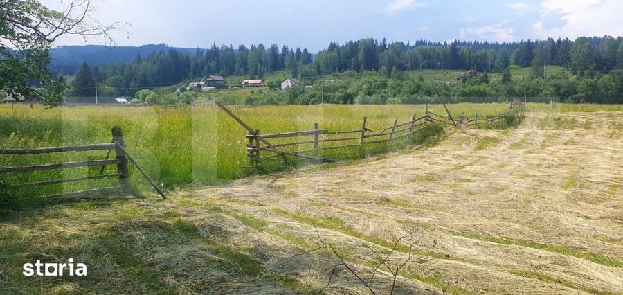 Teren de 10000 mp, în Șaru Dornei