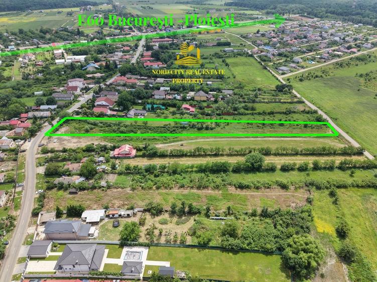 Teren Construcții intravilan de 3114 mp, în Ciolpani