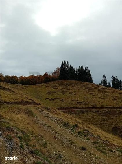 Teren de 2000 mp, în Curățele