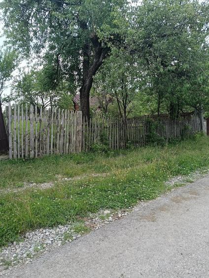 Teren de 1584 mp, în Talea