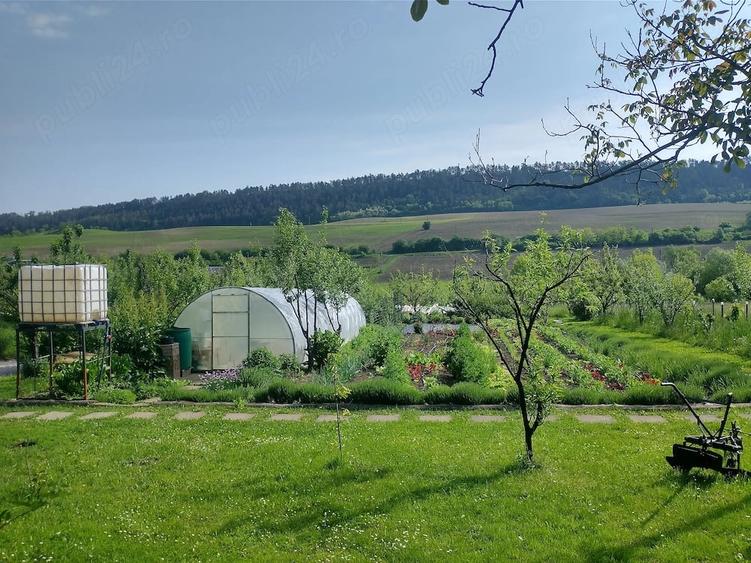 Casă cu 1 camere cu Teren 7500 Mp în Bazna