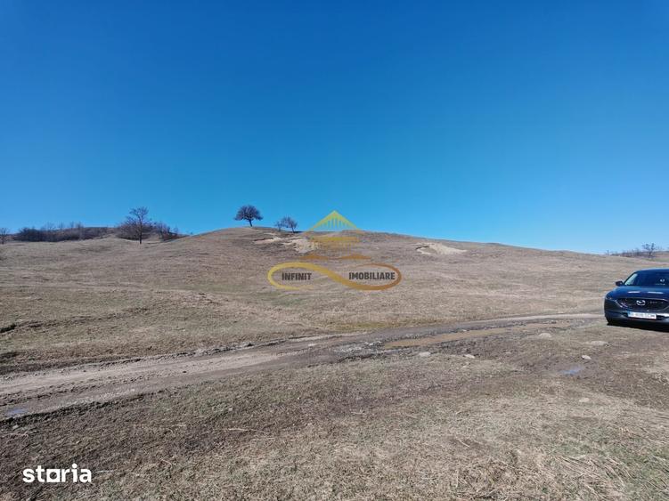 Teren de 6625 mp, în Mărgineni